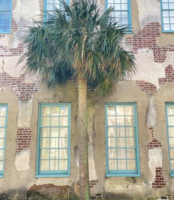 Dock Street Theatre by null