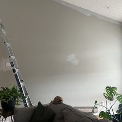 Alvarado/Villa Handyman Services - Living room wall
