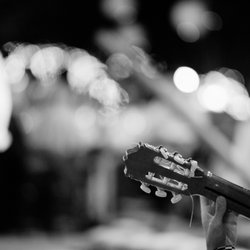 Miguel de Maria Elegant Spanish Guitar - Outdoor reception at the Desert Botanical Garden. photo by https://www.ryanflynnphotography.net/