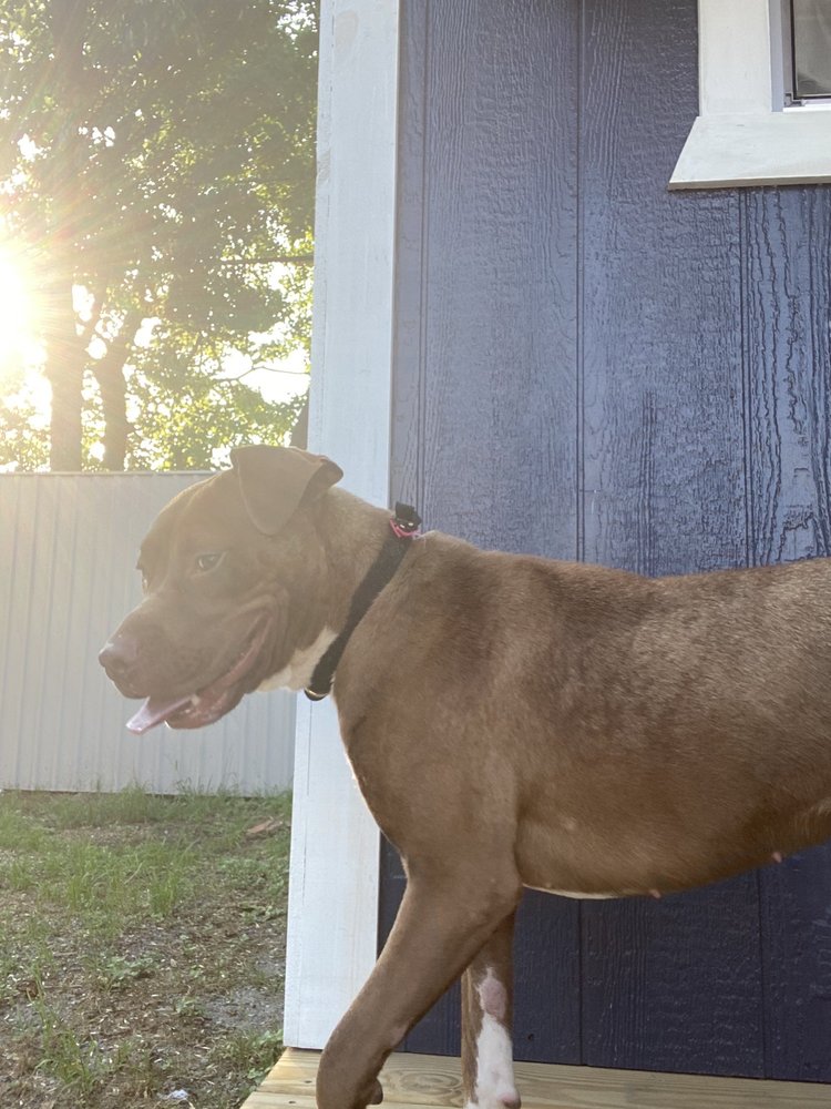 EAST TEXAS VETERINARY CLINIC Updated October 2024 10 Reviews 3441