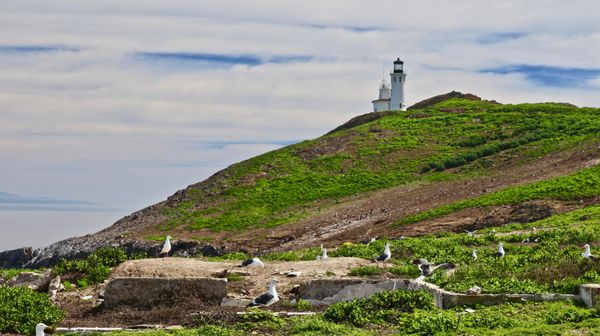 Anacapa Island by null
