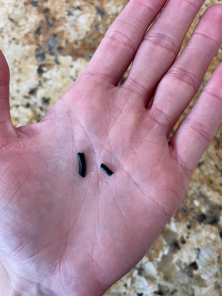 FARMHOUSE FROZEN YOGURT Updated September 2024 10 Reviews 1102 S John Redditt Dr, Lufkin