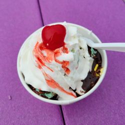 Dipper Dan - Cougar Sundae made with mint chip ice cream, chocolate syrup, whipped cream, sprinkles, and a cherry.