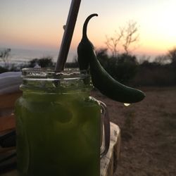 Amor Tropical