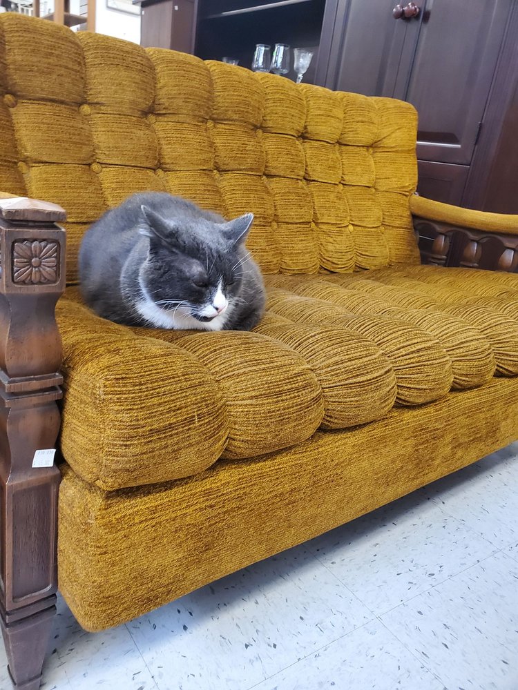 WILLIAM TEMPLE HOUSE THRIFT STORE 52 Photos & 106 Reviews 2230 NW