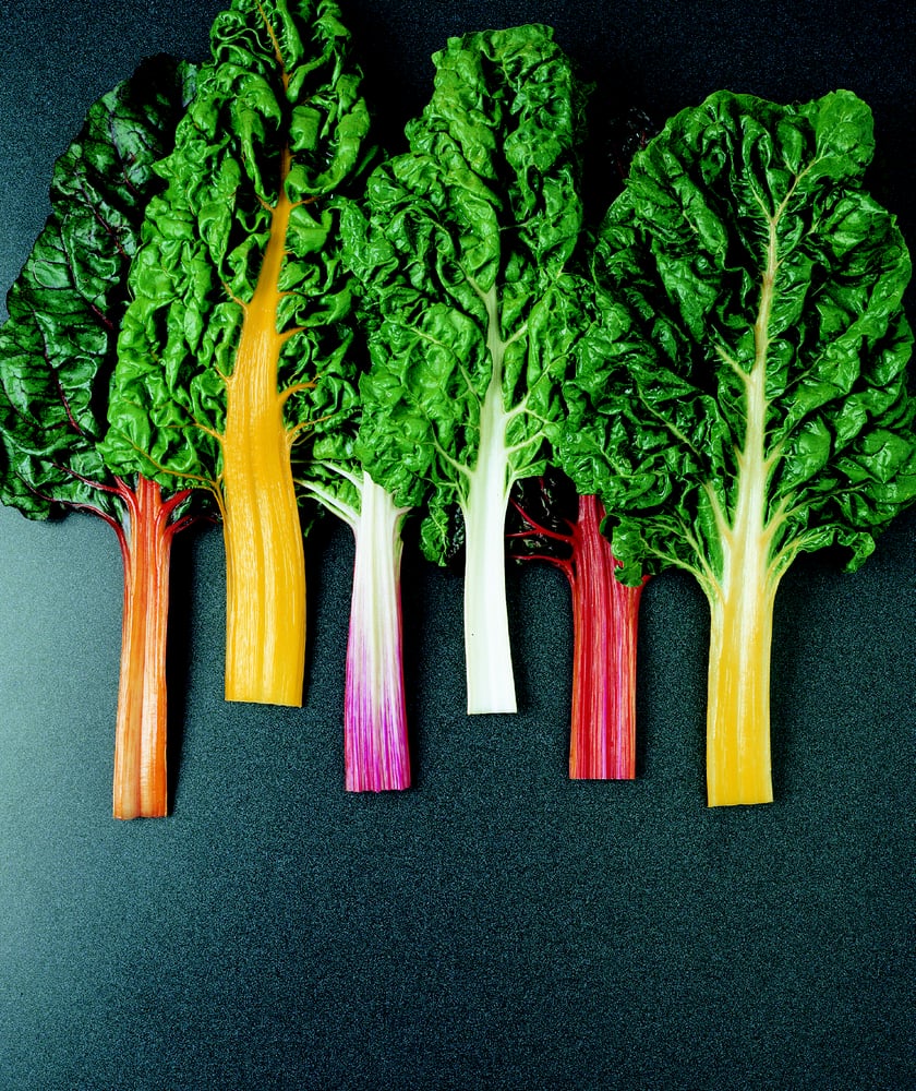 Salad Savoy Corporation Logo
