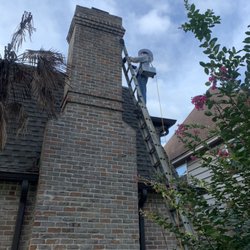 Bee'n Green - Honeybees in a Chimney