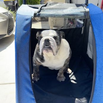 The Bark Supply - Pet stroller - Pet Stores Near Me - Stockton, California The Bark Supply - Pet stroller - Pet Stores Near Me - Stockton, California