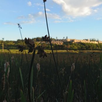 Edmonds Marsh Wildlife Sanctuary - Parks Near Me - Edmonds, Washington