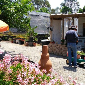 P & C Nursery - Nurseries & Gardening Near Me - Corona, California P & C Nursery - Nurseries & Gardening Near Me - Corona, California