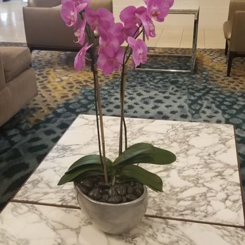 Club Quarters Hotel Downtown, Houston - Hotels Near Me - Houston, Texas Club Quarters Hotel Downtown, Houston - Hotels Near Me - Houston, Texas