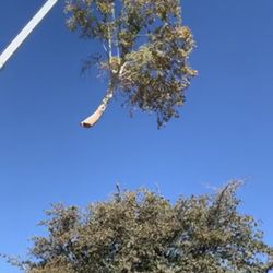 Cedar Landscaping and Tree Care