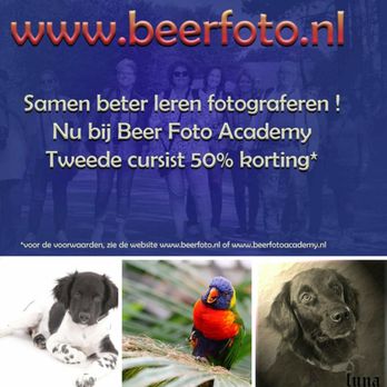 Beer Fotoacademy - Specialty Schools Near Me - Almere, Florida Beer Fotoacademy - Specialty Schools Near Me - Almere, Florida