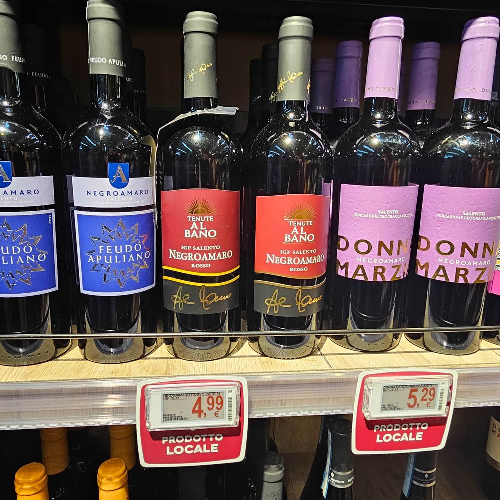 🗣«Maurizio Gasparri che mi accusa di antisemitismo è un grottesco  cortocircuito della storia». Così il sindaco di Bari, Vito Leccese, replica  al duro attacco del presidente dei senatori di Forza Italia, dopo, image size:1000x1000