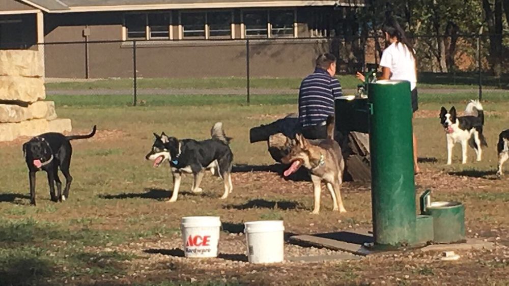 DOG PARK IN ANDOVER CENTRAL PARK Updated June 2024 11 Photos 1607