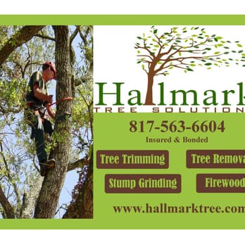 Hallmark Tree Solutions - Tree Services Near Me - Kennedale, Texas Hallmark Tree Solutions - Tree Services Near Me - Kennedale, Texas