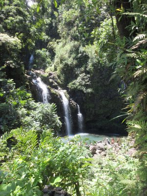 Upper Waikani Falls by null