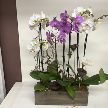 Newport Beach Flora - Florists Near Me - Newport Beach, California Newport Beach Flora - Florists Near Me - Newport Beach, California