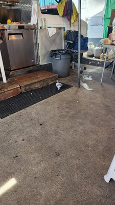 Tortas Gigantes El Monje Loco by null