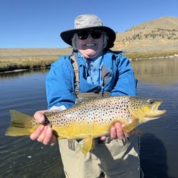 South Platte Fly Shop - An 8 lb brown!!! Huge!!! The pic doesn't do justice.