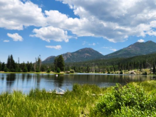 Explorer Denver Tours by null