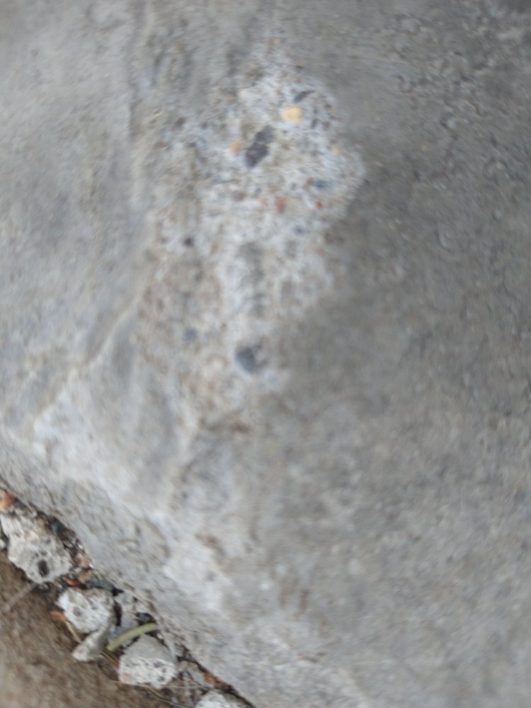 Sorenson Tree Service - tree service in Saint Paul, MN