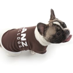 Shop around the dog
