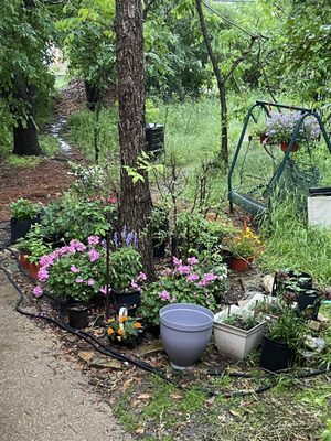 A&M Nursery and Supply LLC