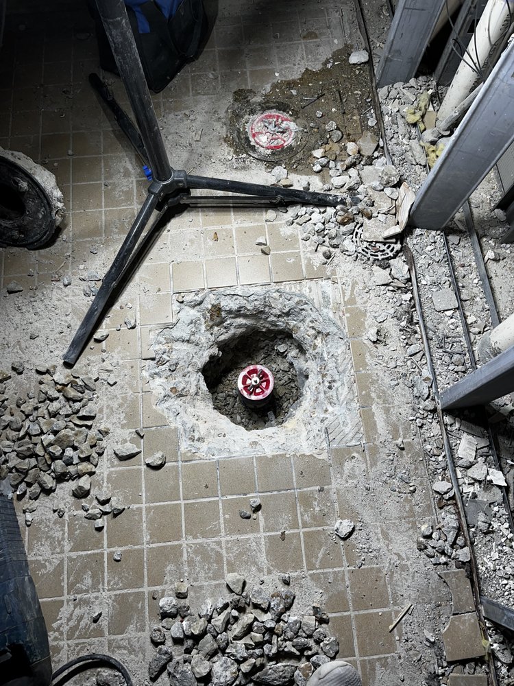 Slide of Arkansas Rooter