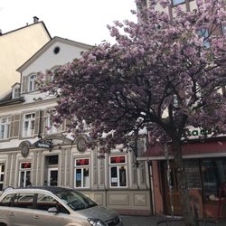 Frühlingsgefühle - mit oder ohne Viagra ;-)
