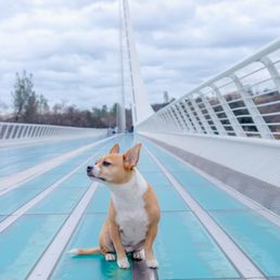 Beautiful bridge
