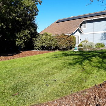 Davids Landscaping - Landscaping Near Me Davids Landscaping - Landscaping Near Me