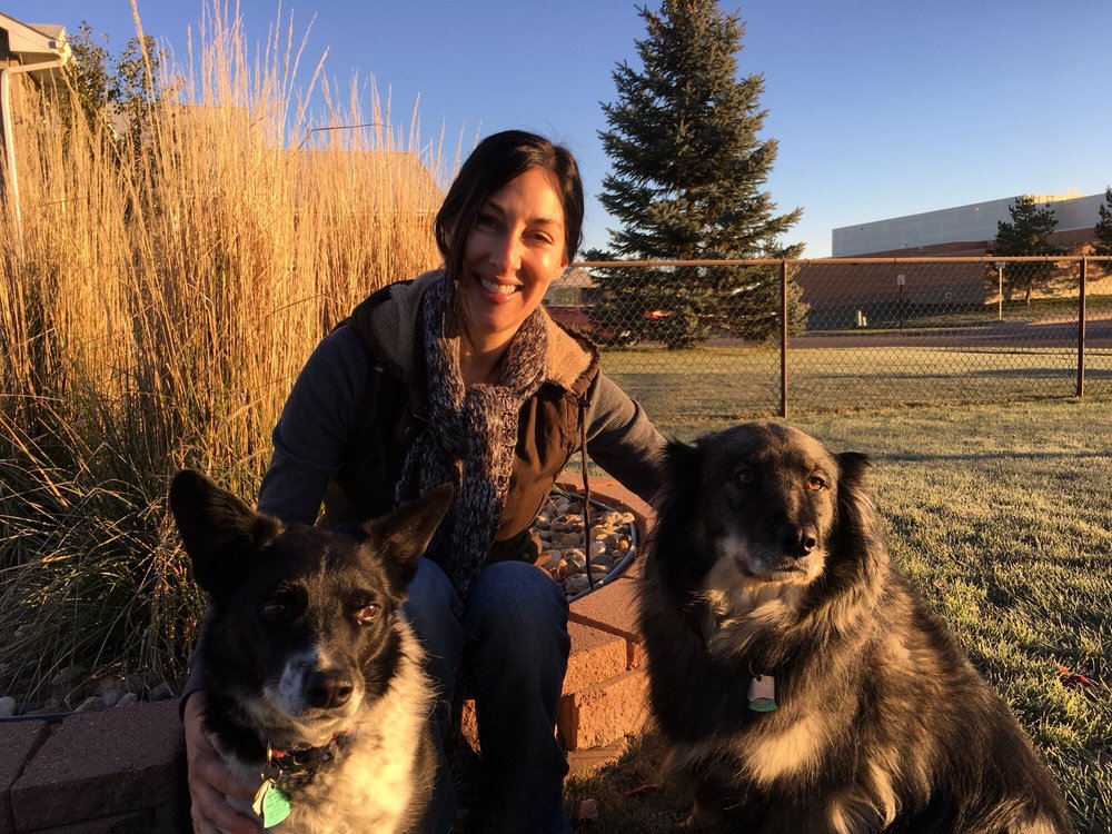 LOVE MY DOG PET SITTING 7700 W Ione St, Sioux Falls, SD Yelp