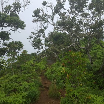 Kuliouou Ridge Trail - Hiking Near Me - Honolulu, Hawaii Kuliouou Ridge Trail - Hiking Near Me - Honolulu, Hawaii