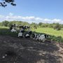 Photo of Milky Way Farm