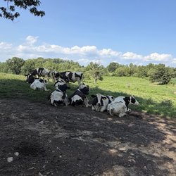 Milky Way Farm
