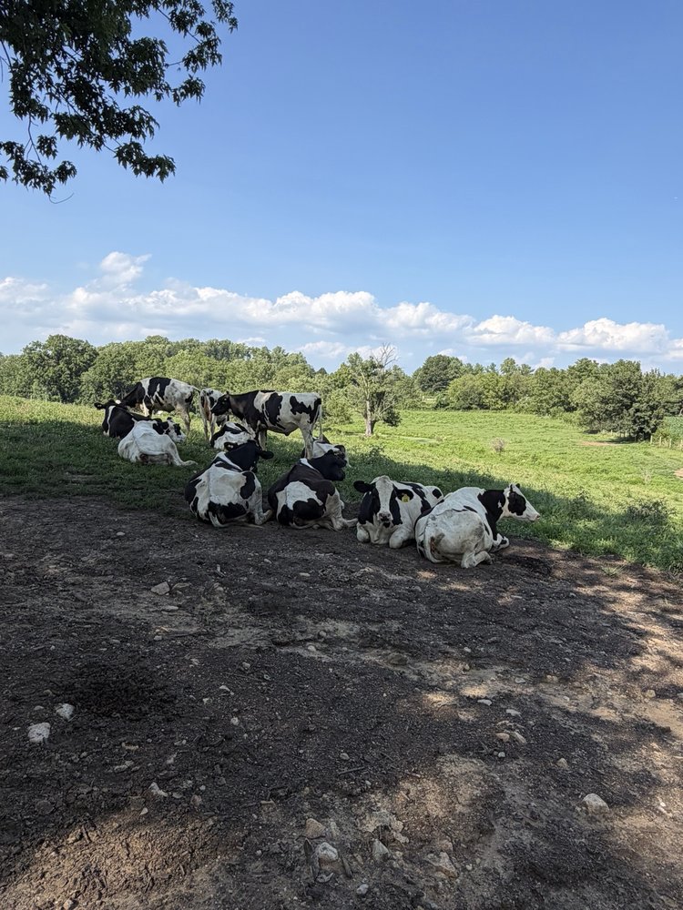 Social spots from Milky Way Farm