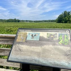 Government Island County Park