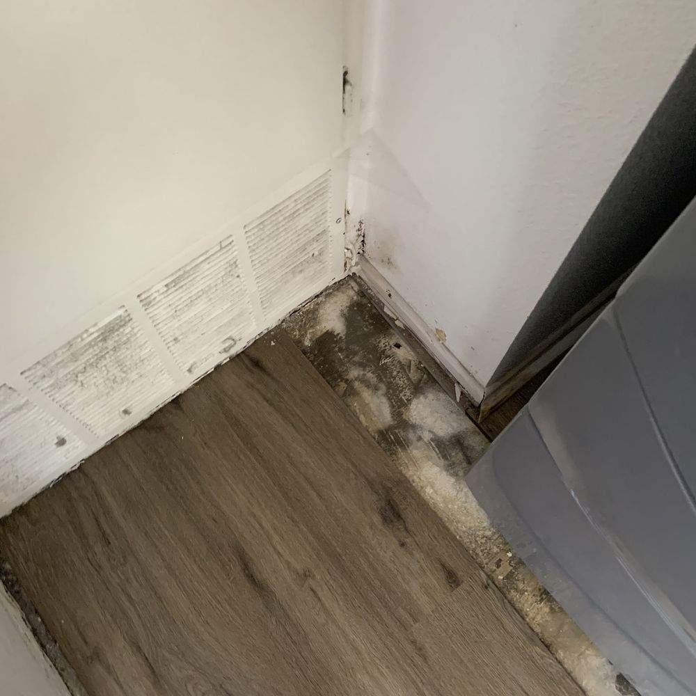 Apolo 1 - Flooring Near Me Apolo 1 - Flooring Near Me