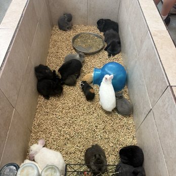 Tropical Kingdom - Pet Stores Near Me - Tucson, Arizona Tropical Kingdom - Pet Stores Near Me - Tucson, Arizona