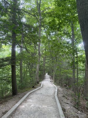 Rosy Mound Natural Area by null