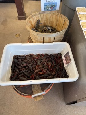 Russo's Seafood by null