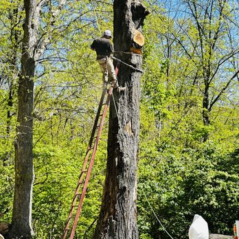 Brossart F. Tree Service - Tree Services Near Me - Erlanger, Kentucky Brossart F. Tree Service - Tree Services Near Me - Erlanger, Kentucky