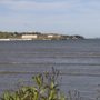 Photo of Shorebird Marsh