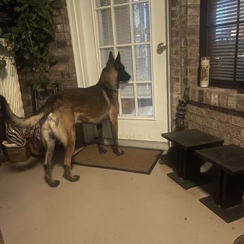 Swan Kennels & Training Center - Pet Sitting Near Me - Columbus, Mississippi