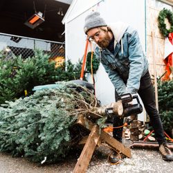 Nonprofit Christmas Tree Sale L'Arche
