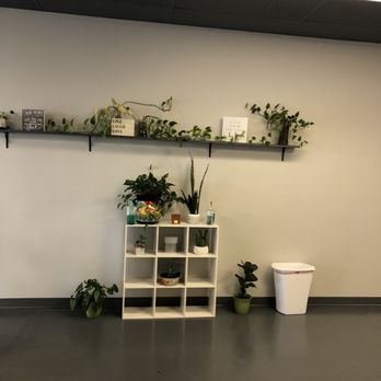 Columbus Healthy Zone - Decor - Juice Bars & Smoothies Near Me - Columbus, Indiana