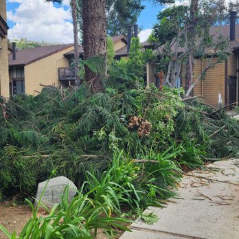 Andre Landscape Service - They don't even clean up at the end of the day - Landscaping Near Me - San Marcos, California