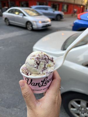 Van Leeuwen Ice Cream by null