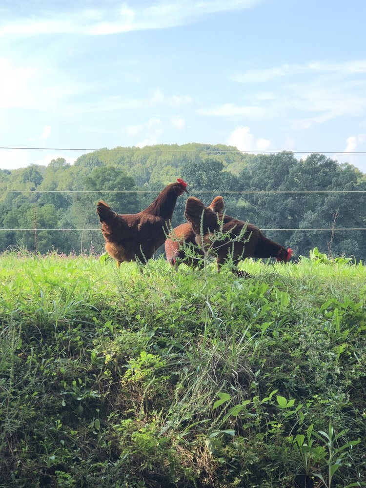 SKYVIEW RANCH CHRISTIAN CAMP & RETREAT CENTER Updated September 2024